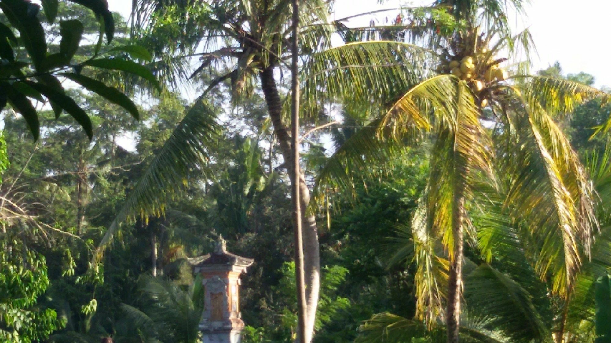 Bed and Breakfast Manada Guesthouae à Ubud Extérieur photo